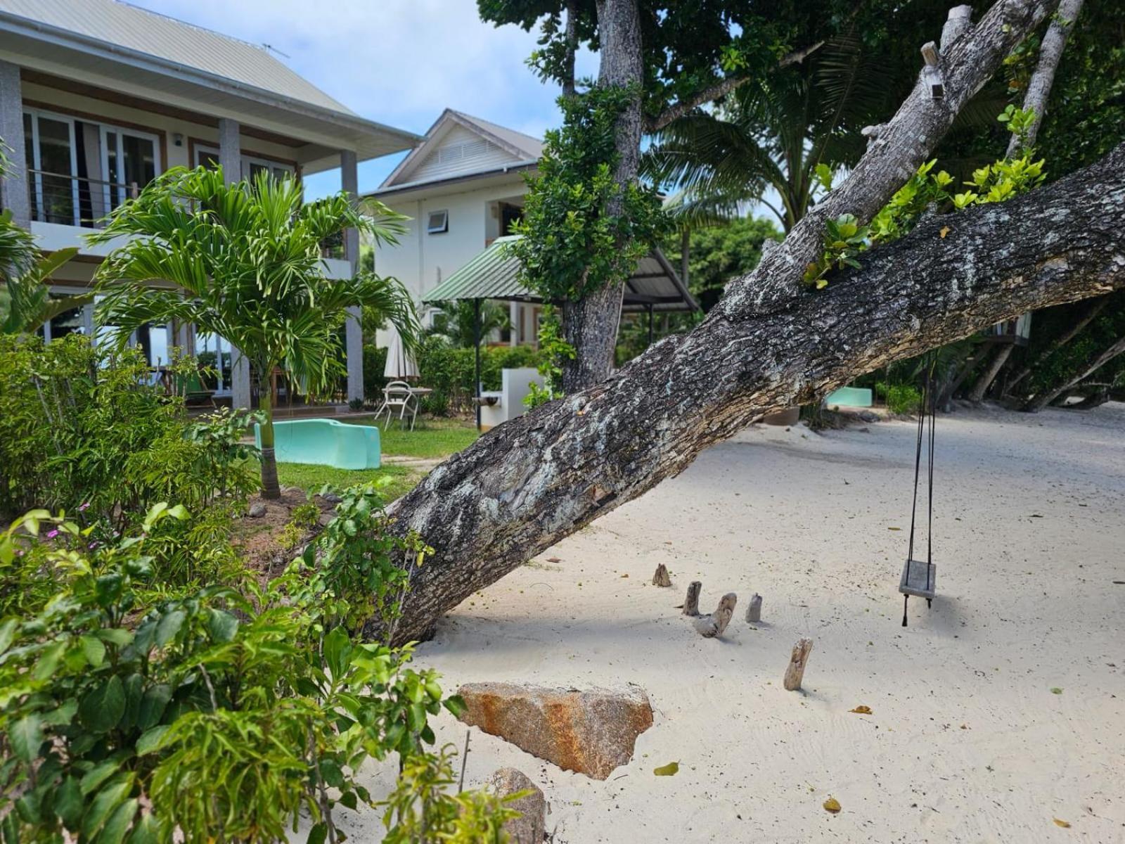 La Digue Luxury Beach Bungalow Spa&Gym Exterior foto