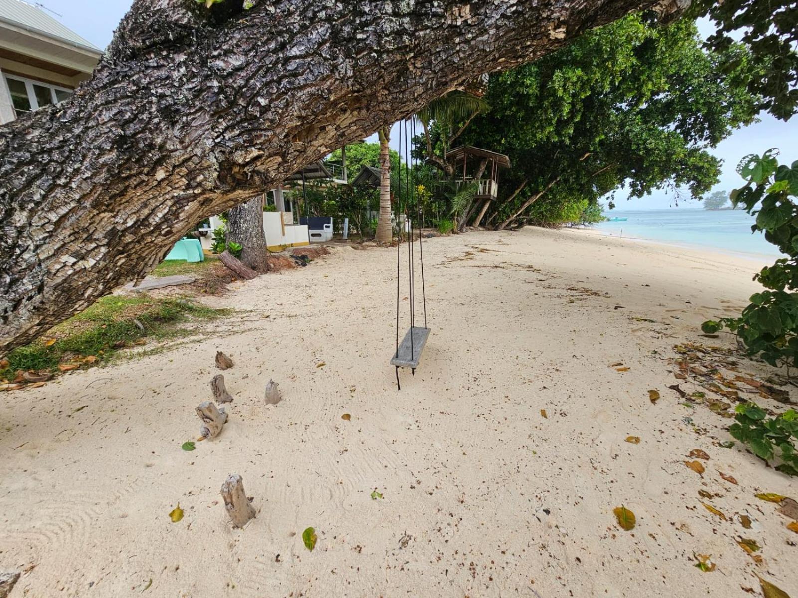 La Digue Luxury Beach Bungalow Spa&Gym Exterior foto